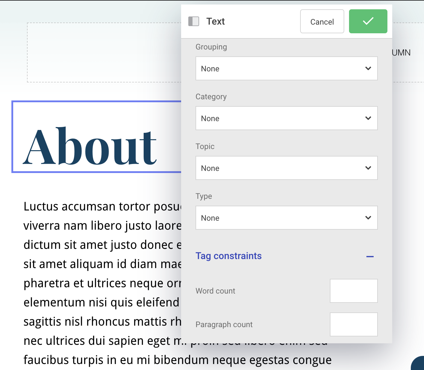 Tag properties and constraints - text module.png
