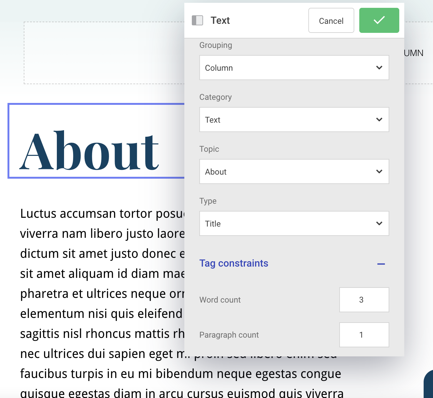 Tag properties and constraints - text module - complete.png