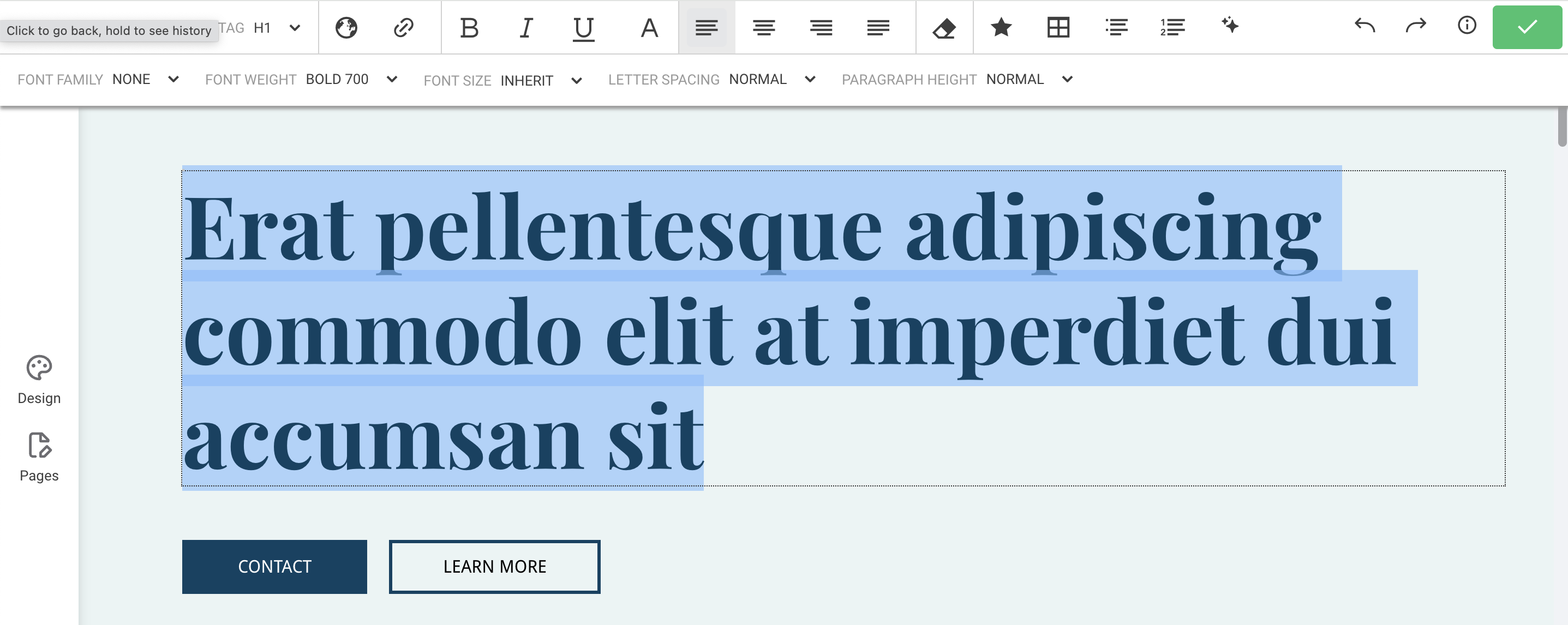 Text editor - selecting headline.png
