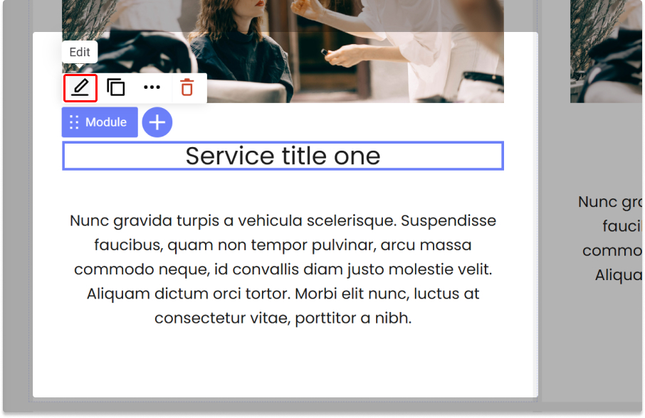 Edit service module.jpg