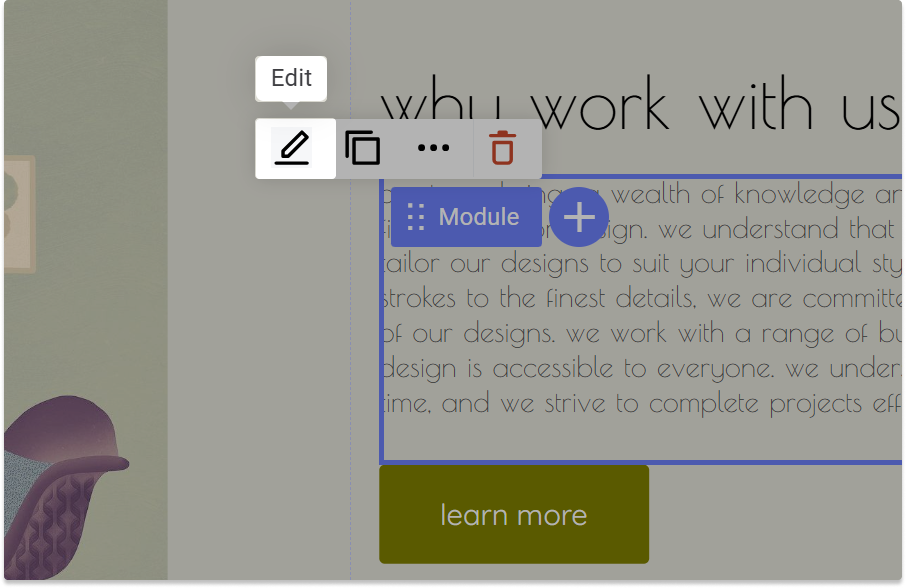 Edit text module.png