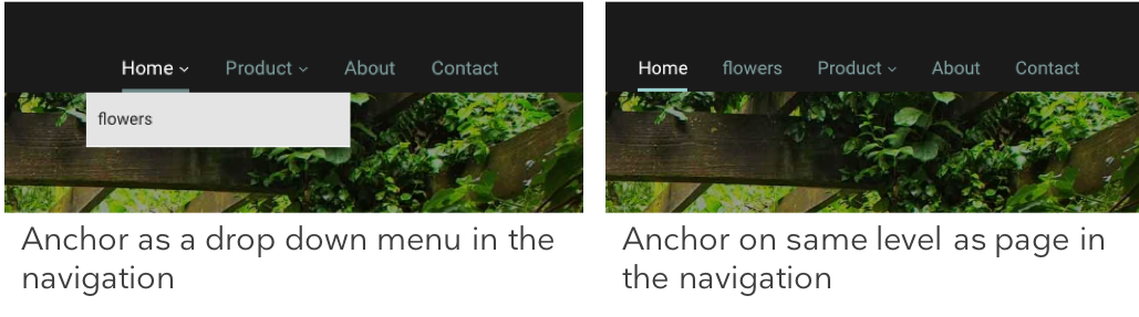 anchor_new2.png