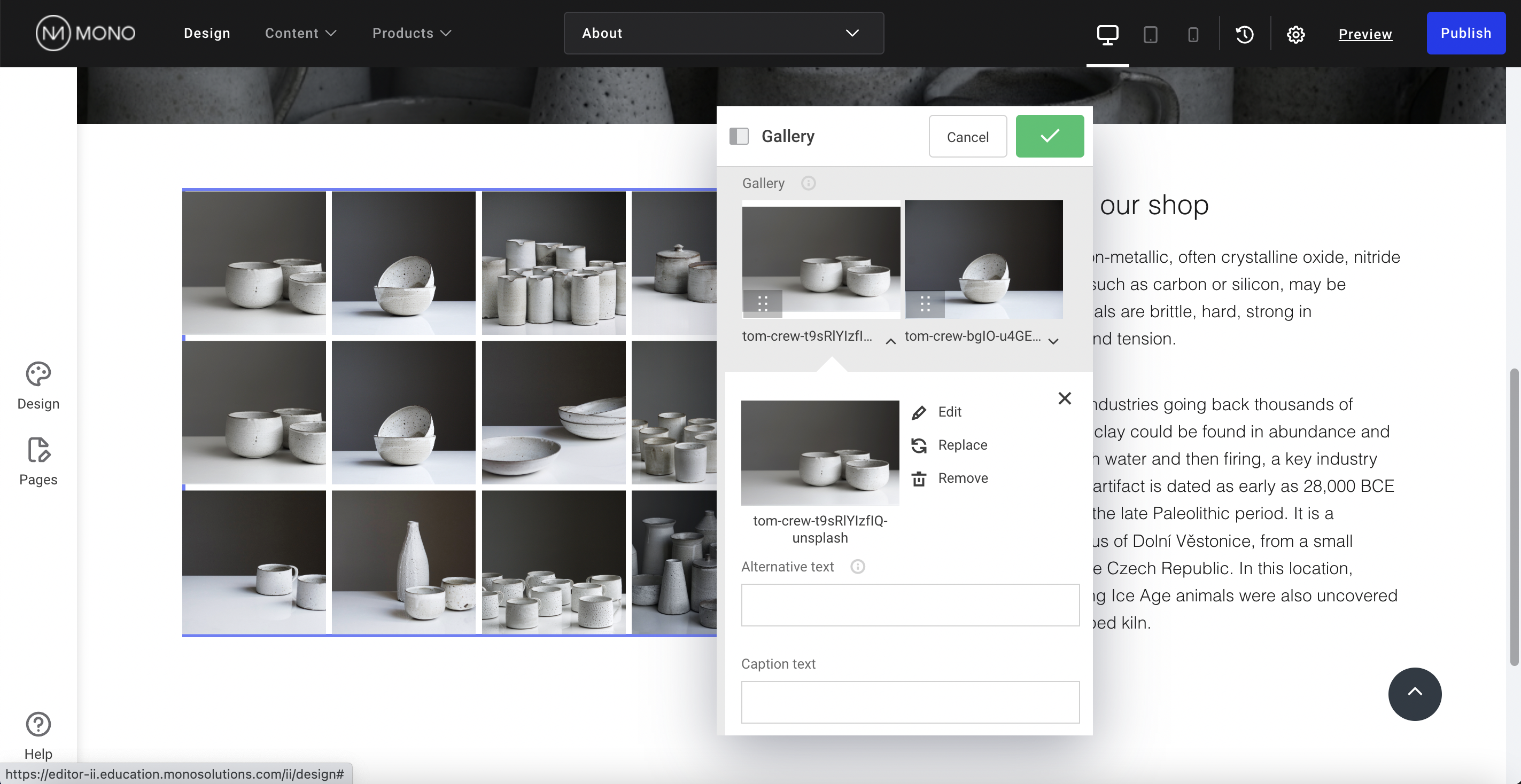 Mono_editor_-_module_-_gallery_-_delete_files.png